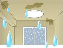 雨