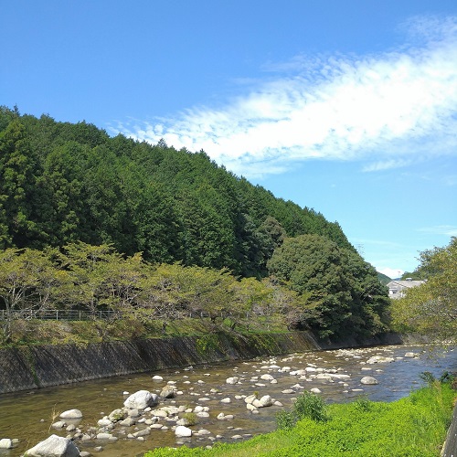 DSC_0396~2