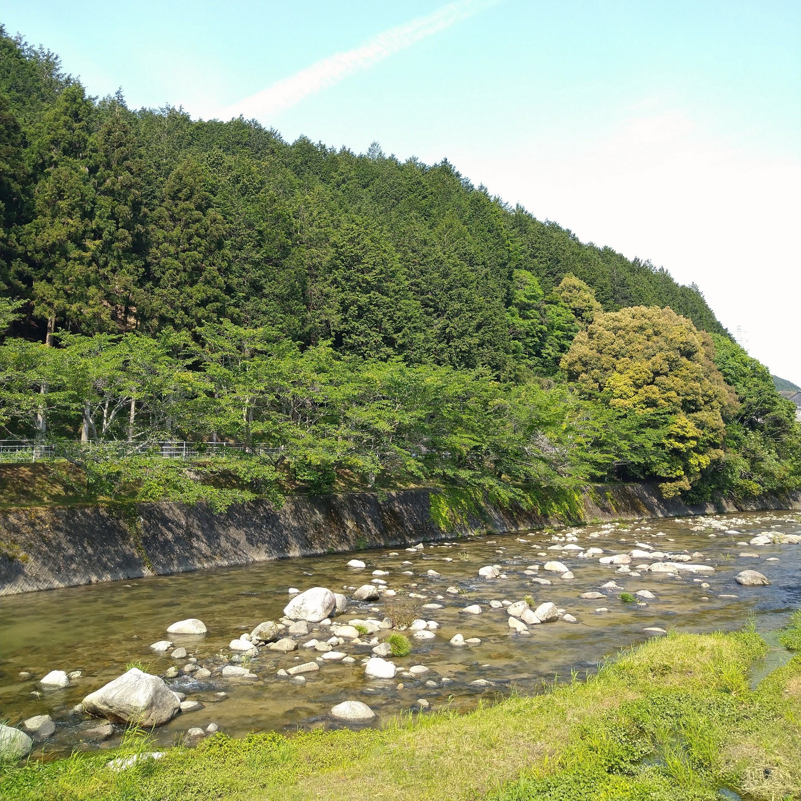 DSC_0992~2