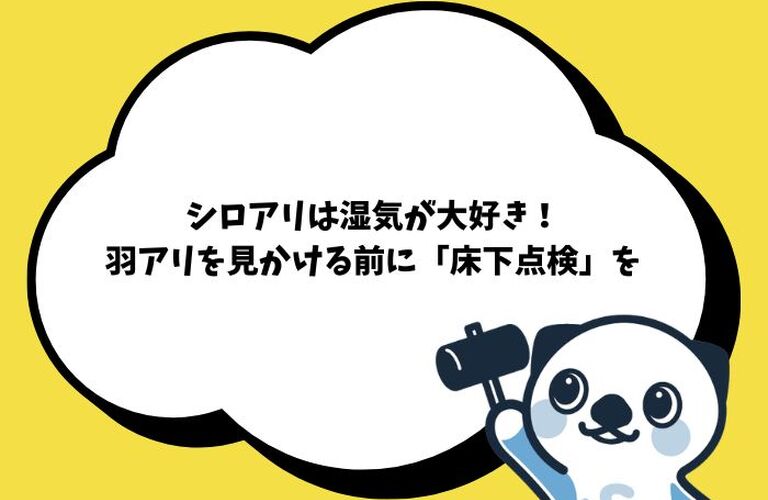 ブログ画像のコピー (700 x 500 px) (24)